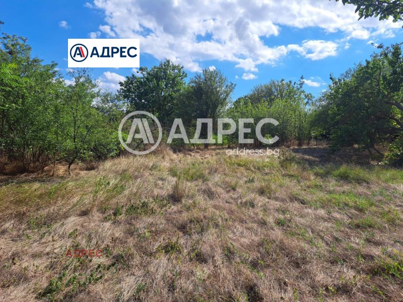 Продава КЪЩА, с. Ветрино, област Варна, снимка 6 - Къщи - 52084953