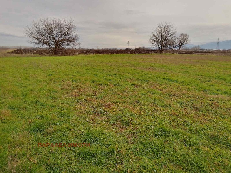 Продава ПАРЦЕЛ, с. Ягодово, област Пловдив, снимка 6 - Парцели - 53290747