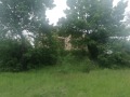 Продава ПРОМ. ПОМЕЩЕНИЕ, област София, гр. Костенец • 167000 € • 90150569 — Holmes.bg