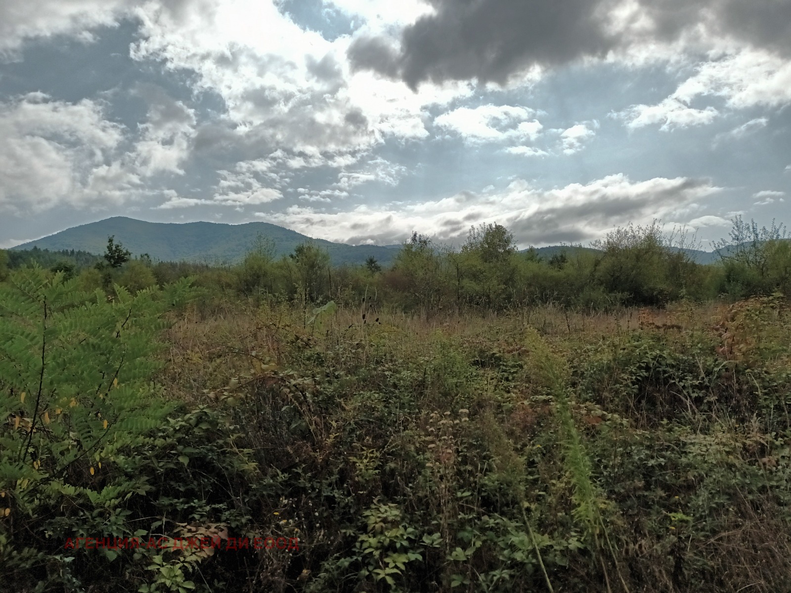 ������� ������ | Imot.bg � ����������� 1