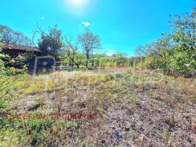 Huis Dragizjevo, regio Veliko Tarnovo 5