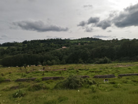 Земеделска земя с. Солник, област Варна 1