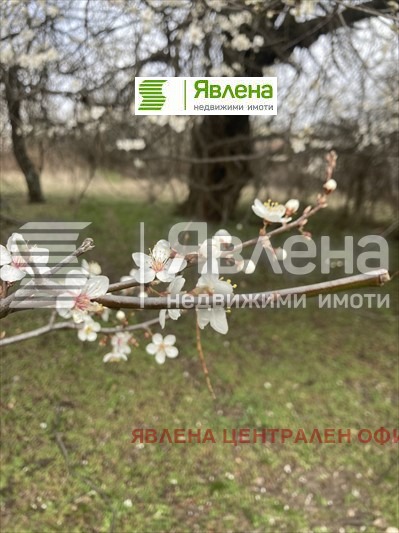 Продава ПАРЦЕЛ, с. Подгорие, област София област, снимка 3 - Парцели - 47427363