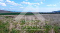 Продава ПАРЦЕЛ, с. Рогачево, област Добрич, снимка 1
