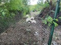 Продава ПАРЦЕЛ, гр. София, с. Герман, снимка 6
