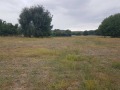 Продава  Земеделска земя област Пловдив , гр. Баня , 1 дка | 60205793