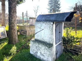 ����� ������� ����,���� �����, �����