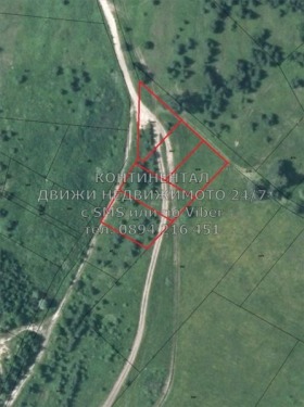 Plot m-t Tsigov chark, region Pazardzhik 1