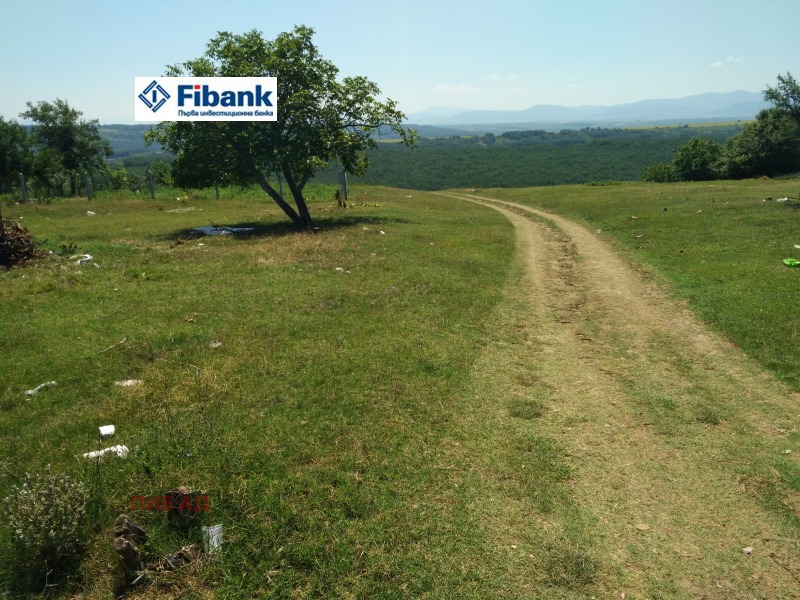 Продава  Земеделска земя област Видин , гр. Кула , 96 дка | 47313340 - изображение [2]