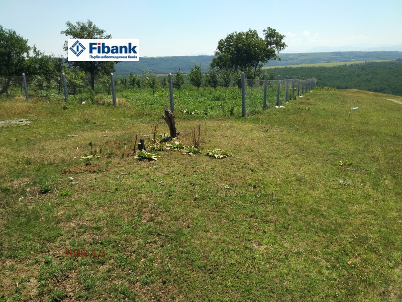 Продава  Земеделска земя област Видин , гр. Кула , 96 дка | 47313340 - изображение [6]