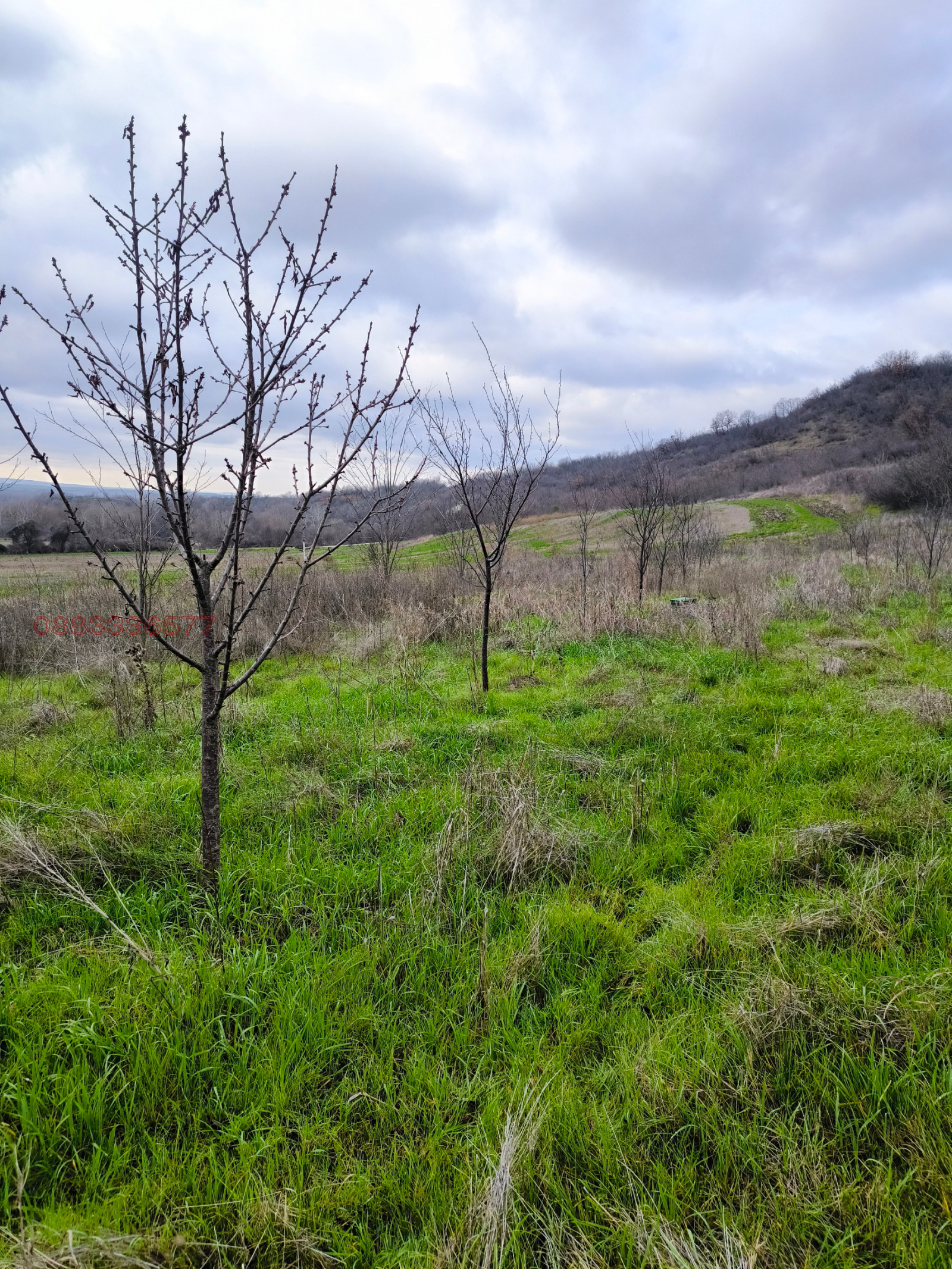 ������� ���� | Imot.bg � ����������� 3