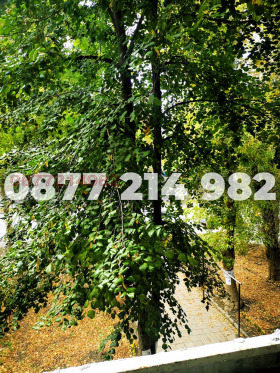 1 chambre Hristo Botev, Vidin 7