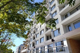 ����� ������� 3-�����,���� �����, ������