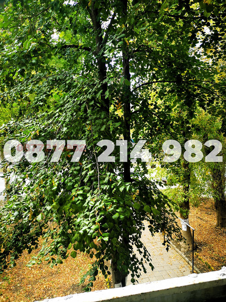 À vendre  1 chambre Vidin , Hristo Botev , 75 m² | 53962872 - image [7]