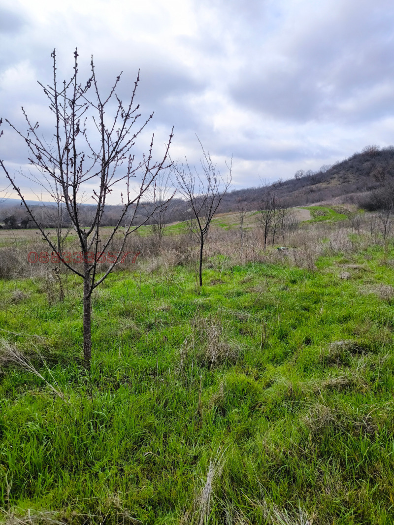 Продава ВИЛА, с. Драганово, област Велико Търново, снимка 3 - Вили - 52916133