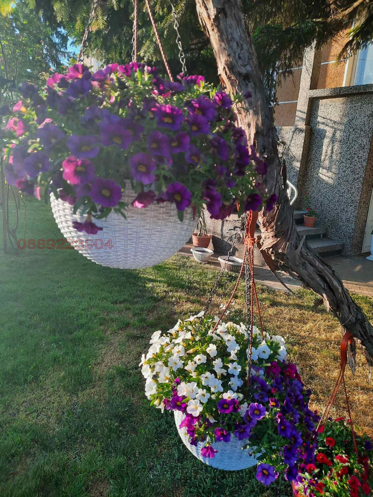 ������� ���� | Imot.bg � ����������� 16