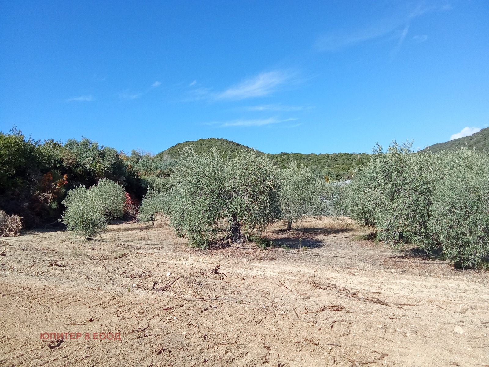 Продава ПАРЦЕЛ | Imot.bg — изображение 8