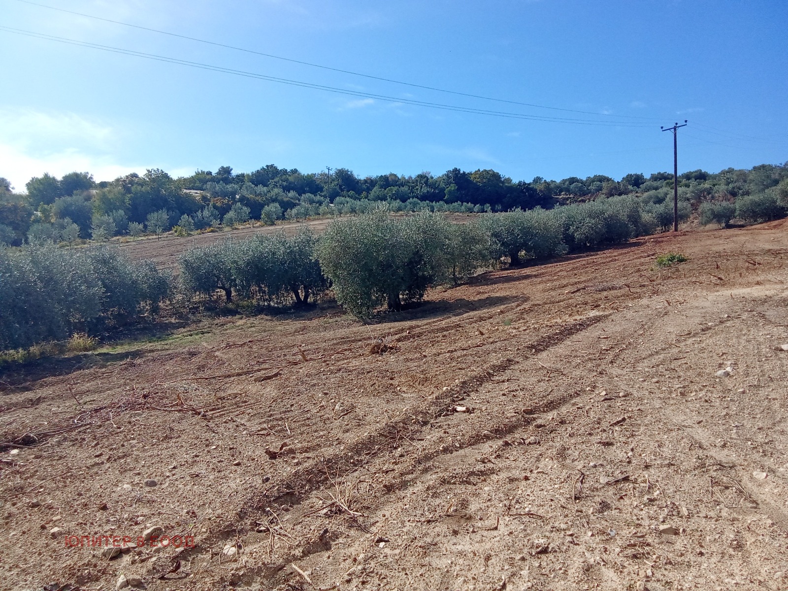 Продава ПАРЦЕЛ | Imot.bg — изображение 17