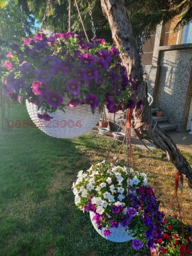 ������� ���� | Imot.bg � ����� ������ 16