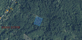 ����� ������� ������,�. ���� ����, ������ �����