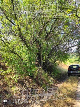 ������� ������ | Imot.bg � ����� ������ 5