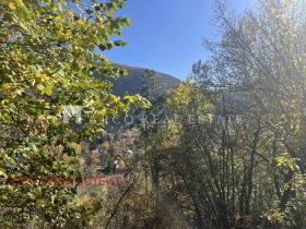 ������� ������ | Imot.bg � ����� ������ 9