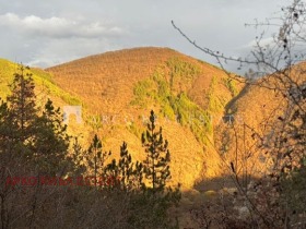 ������� ������ | Imot.bg � ����� ������ 13