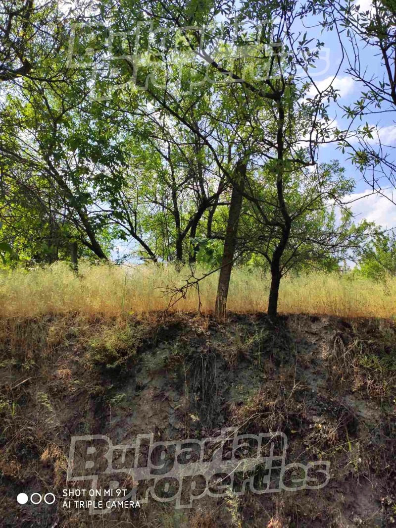 Продава ПАРЦЕЛ, гр. Игнатиево, област Варна, снимка 4 - Парцели - 53195428