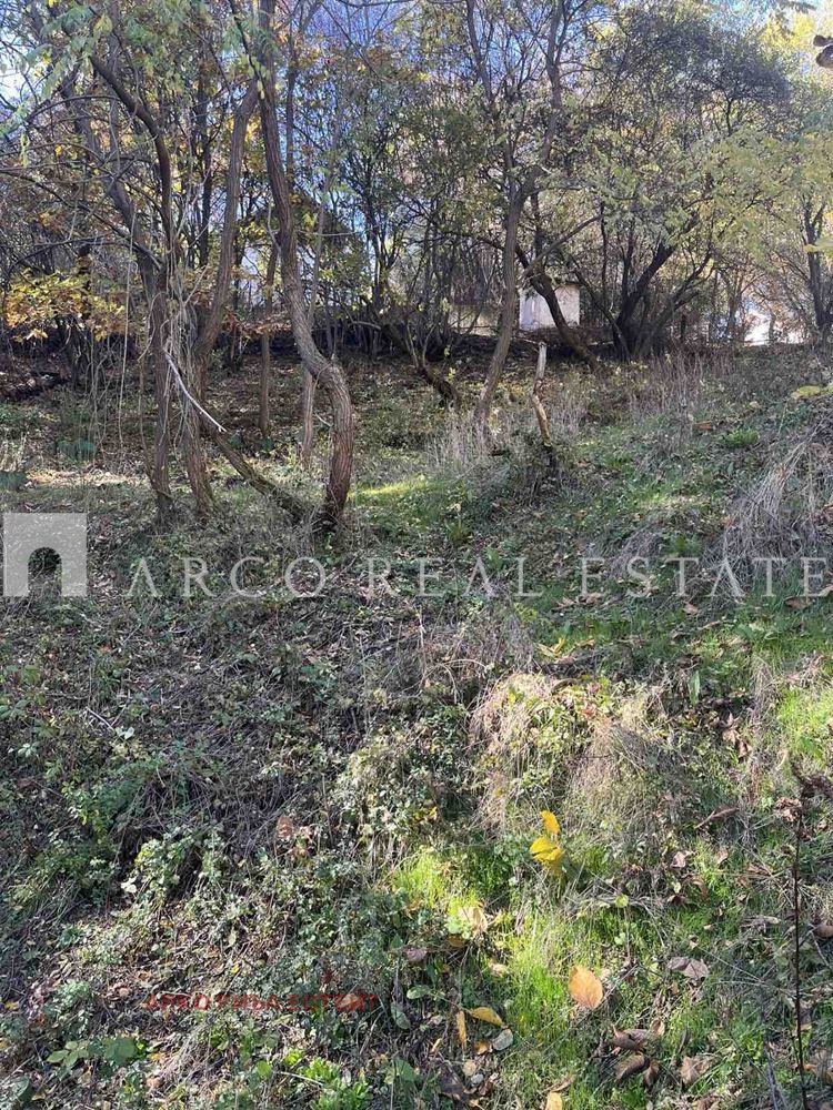 Продава ПАРЦЕЛ, с. Владо Тричков, област София област, снимка 2 - Парцели - 54079391