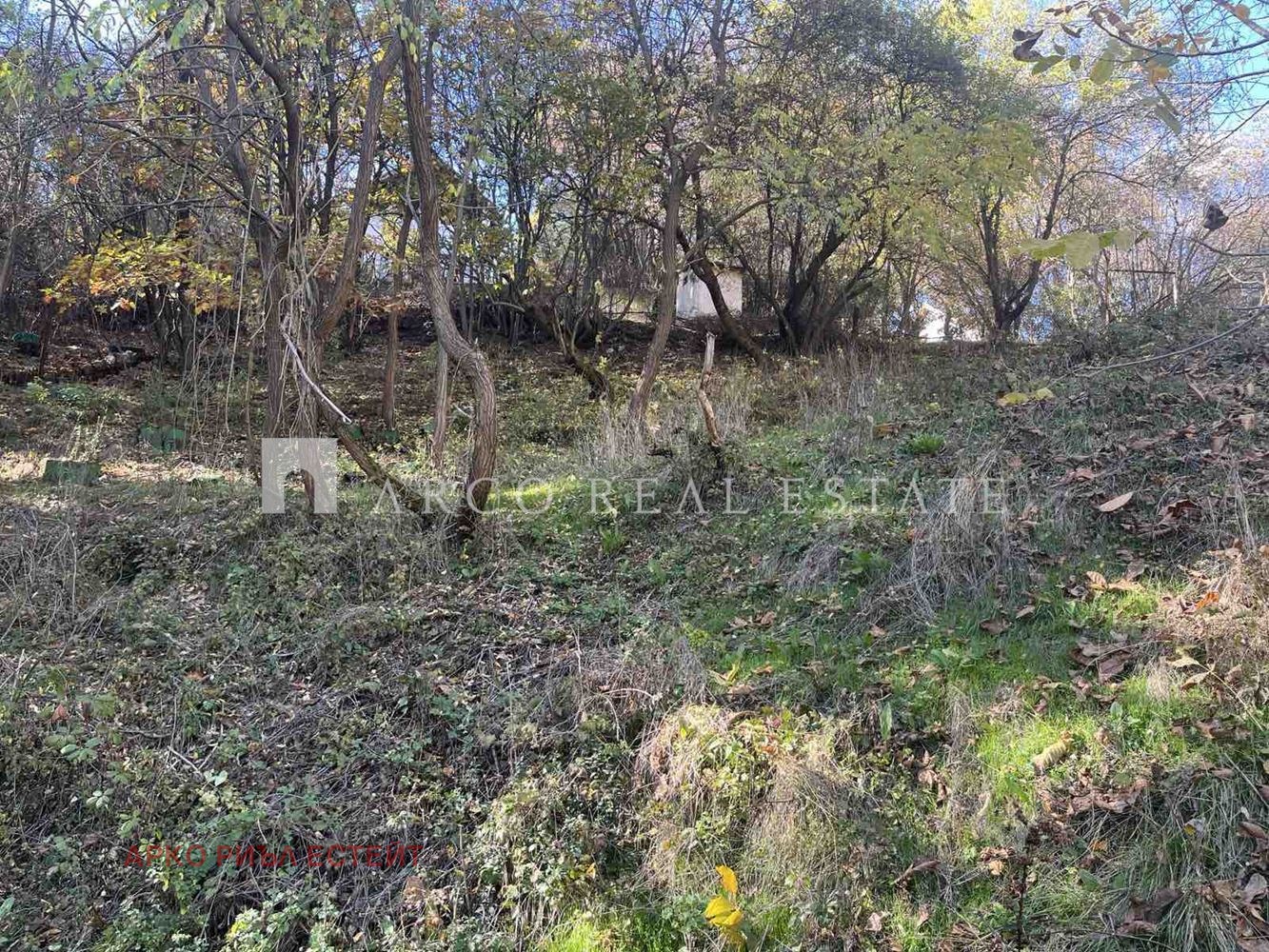 Продава ПАРЦЕЛ, с. Владо Тричков, област София област, снимка 5 - Парцели - 54079391