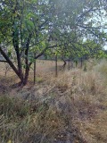 Продава ПАРЦЕЛ, с. Горни Окол, област София област, снимка 3