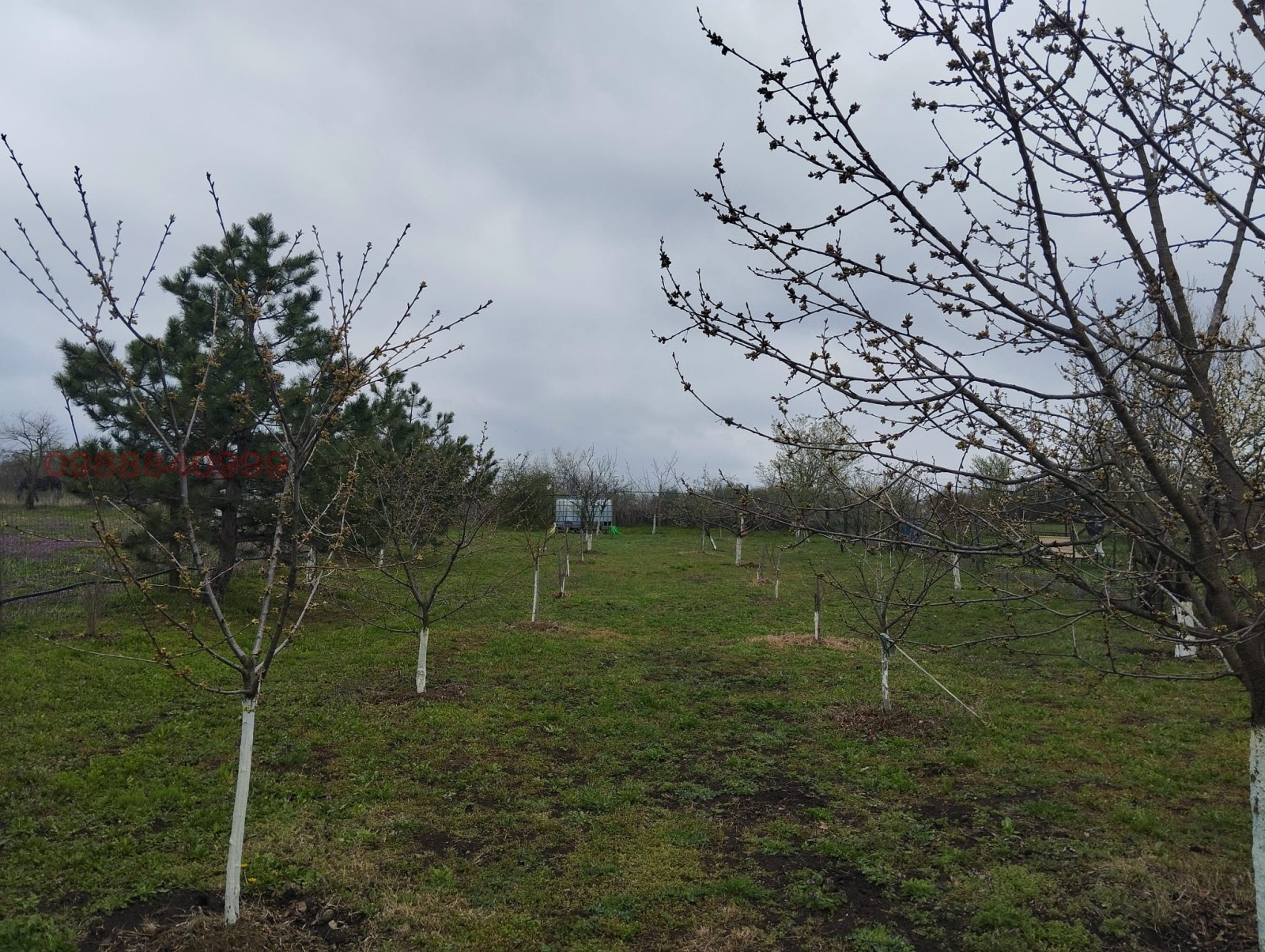 ������� ���� | Imot.bg � ����������� 9