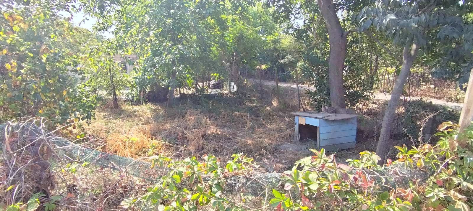 Продава ПАРЦЕЛ | Imot.bg — изображение 3