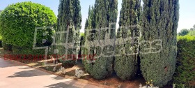 ������� 2-����� | Imot.bg � ����� ������ 14