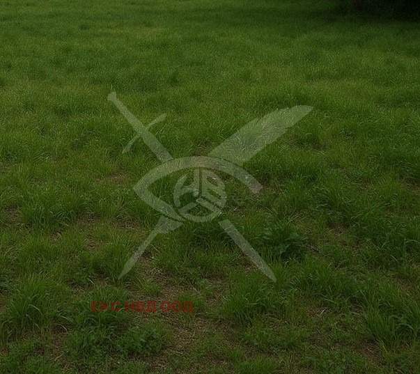 Продава ПАРЦЕЛ, град Пловдив, Прослав • 124995 € • 80477682 — Holmes.bg
