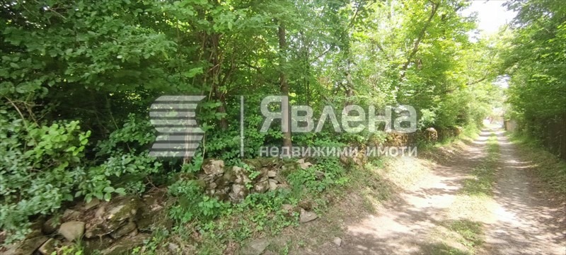Продава ПАРЦЕЛ, с. Орешак, област Ловеч, снимка 4 - Парцели - 55905558