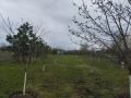 Продава  Къща област Бургас , гр. Средец , 65 кв.м | 84459865 - изображение [9]