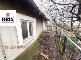 ����� ������� ����,���� ����, �������