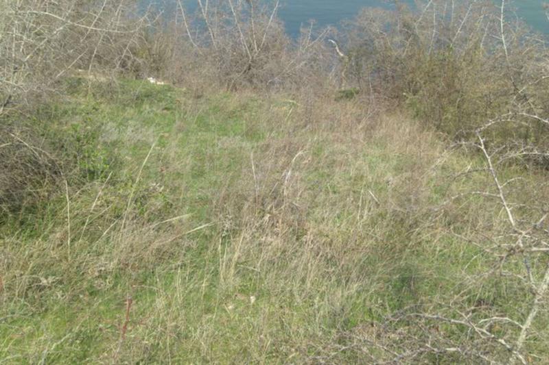 Продава ПАРЦЕЛ | Imot.bg — изображение 4