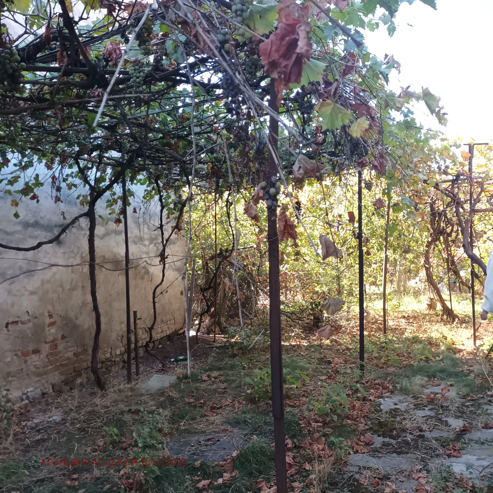 ������� ���� | Imot.bg � ����������� 16
