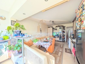 ����� ������� 3-�����,���� �����, ����������