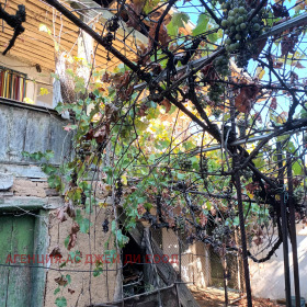 ������� ���� | Imot.bg � ����� ������ 17