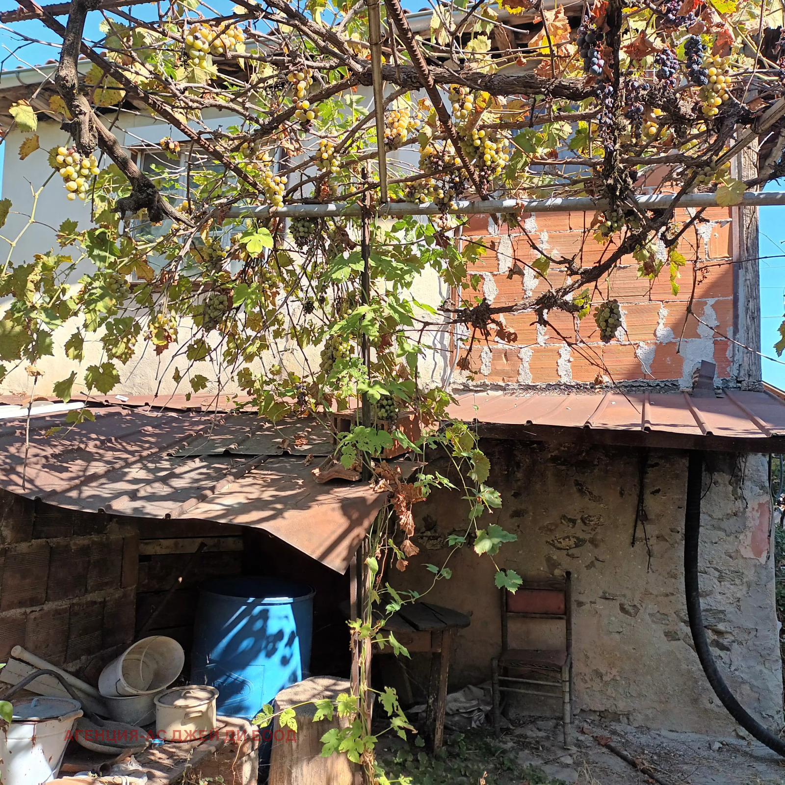 Продава КЪЩА, с. Соволяно, област Кюстендил, снимка 12 - Къщи - 56364254