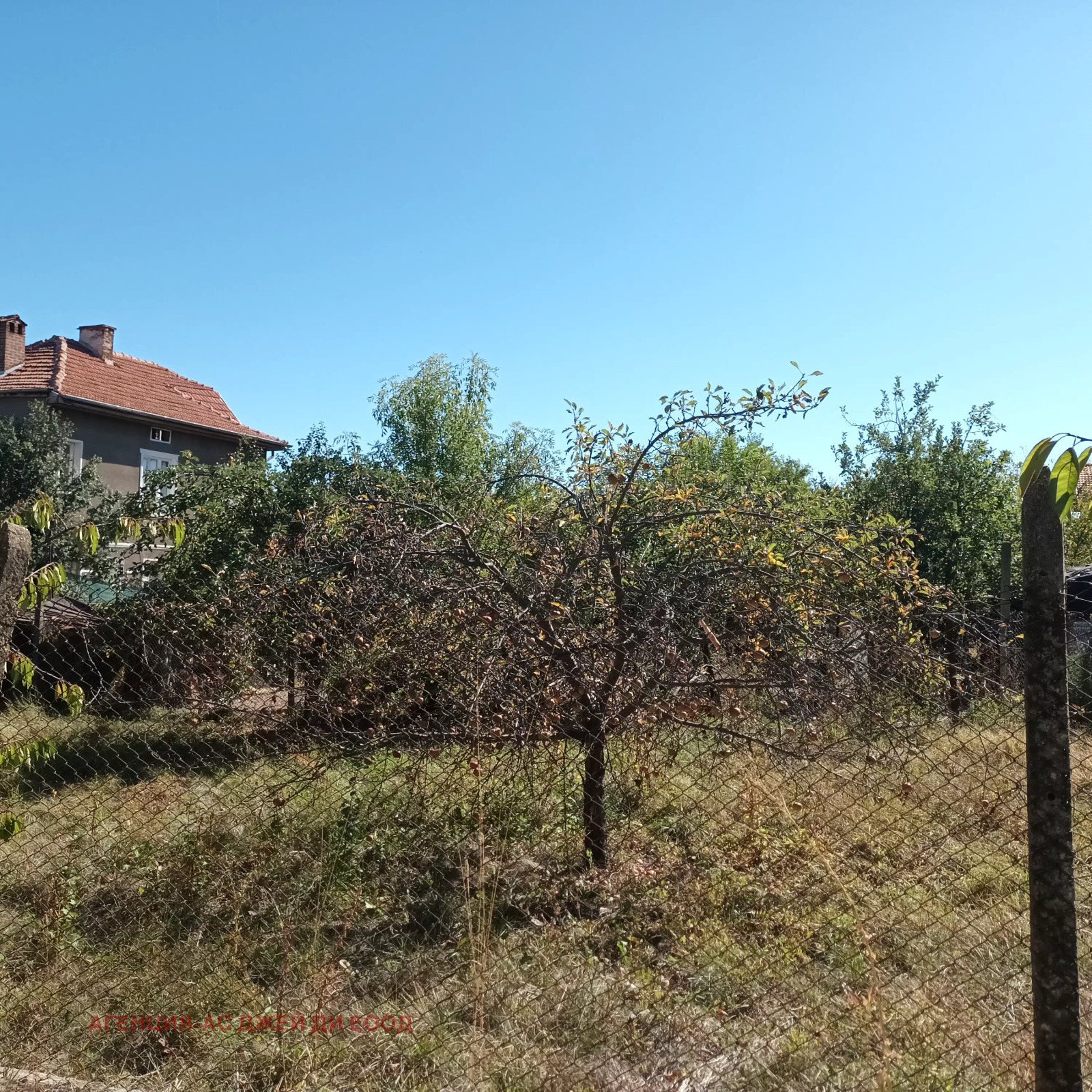 Продава КЪЩА, с. Соволяно, област Кюстендил, снимка 8 - Къщи - 56364254