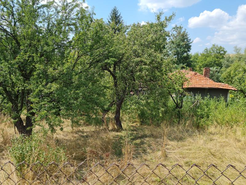 ������� ������ | Imot.bg � ����������� 4