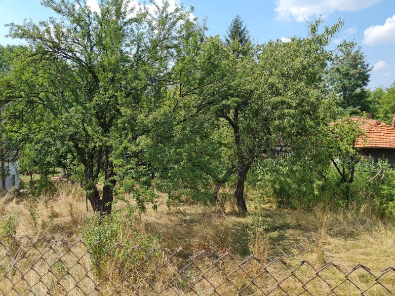 ������� ������ | Imot.bg � ����������� 3