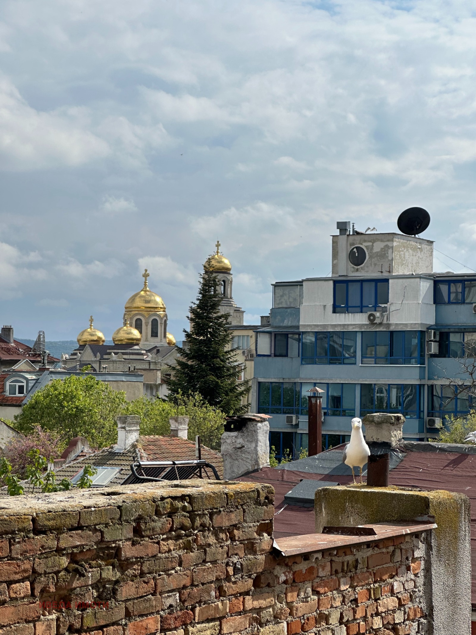 ������� 4-����� | Imot.bg � ����������� 15