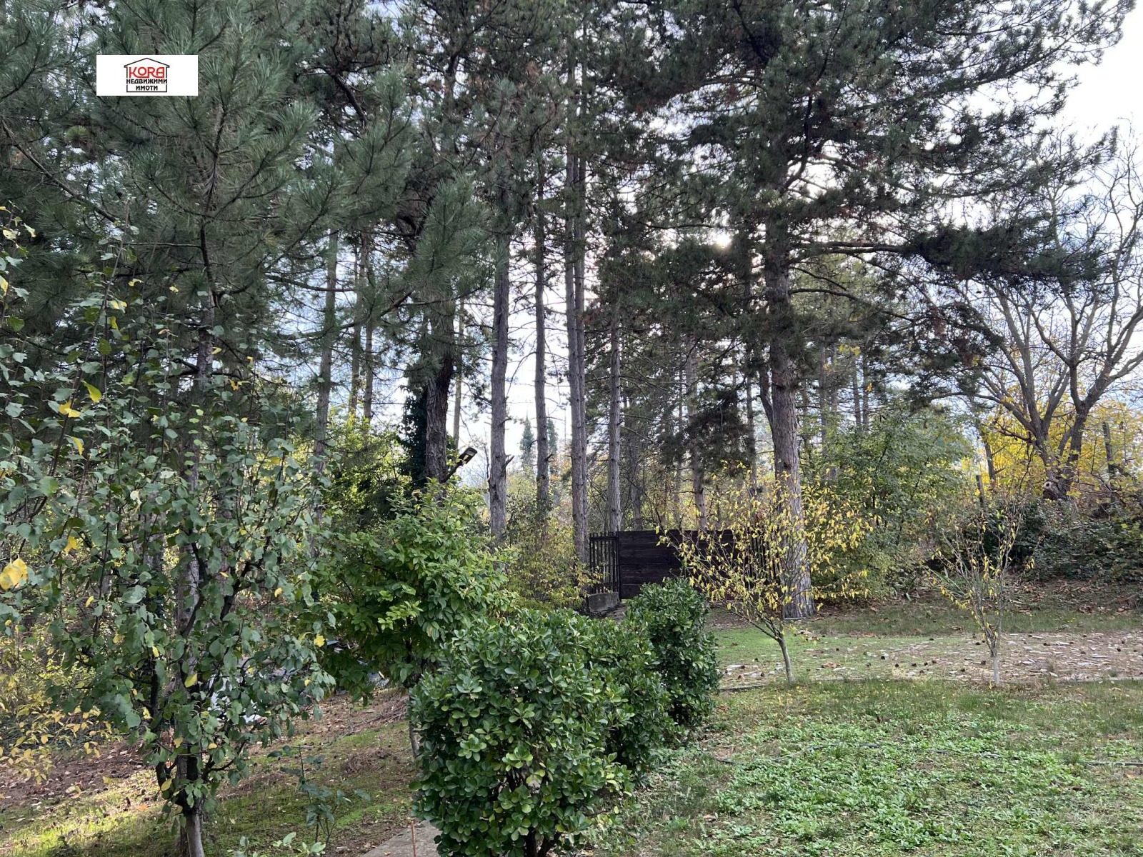 ������� ���� | Imot.bg � ����������� 17