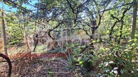 ������� ���� | Imot.bg � ����� ������ 12