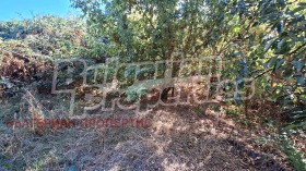 ������� ���� | Imot.bg � ����� ������ 13